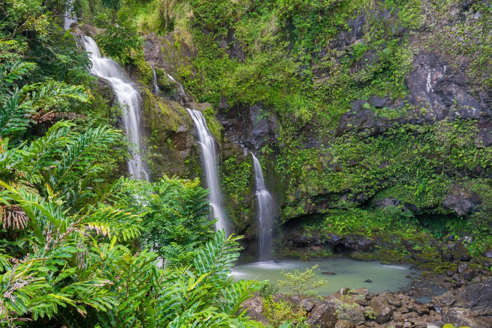 Kulakane 304 Kahana Bagian luar foto